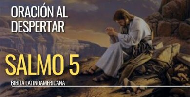 Salmos de amor en la Biblia Católica: Descubre los más inspiradores