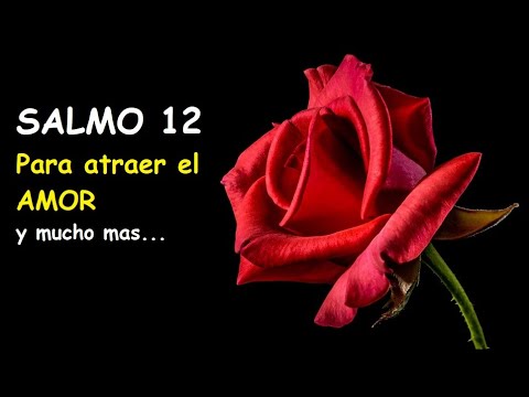 Salmo para el amor de un hombre: Consejos y oraciones efectivas