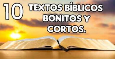 10 Salmos de amor cortos de la Biblia para inspirarte