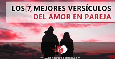 Versículos de amor en los Salmos: encuentra inspiración divina